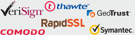 There are different SSL providers