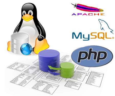 PHP-MYSQL